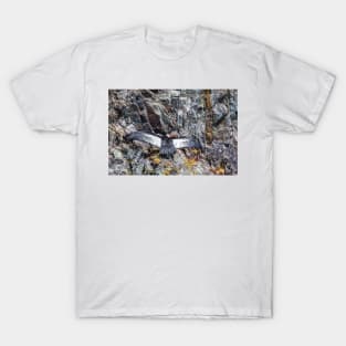 Condor Cleaning Himself - Lake Argentina, Argentina T-Shirt